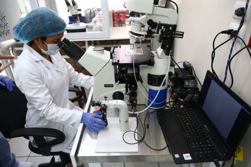San Marcos es la universidad líder en producción científica en todo el país