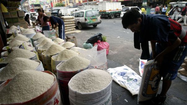 Producción de arroz, papa y maíz caería hasta 40%