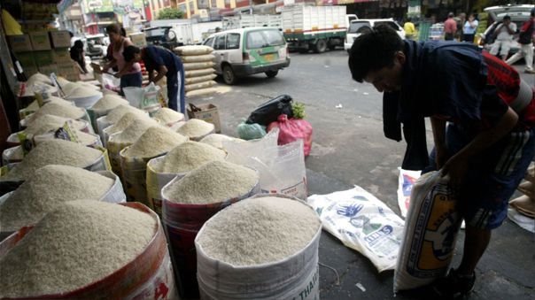 Produccin de arroz, papa y maz caera hasta 40%