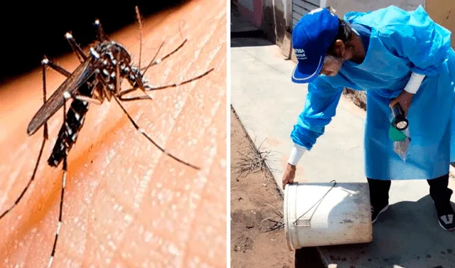Dengue en Per�: reportan primer fallecido en Ventanilla por esta enfermedad