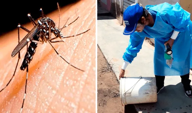 Dengue en Perú: reportan primer fallecido en Ventanilla por esta enfermedad