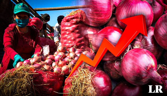 Precio de la cebolla roja alcanza un mximo histrico!: cunto est y por qu aument su valor?