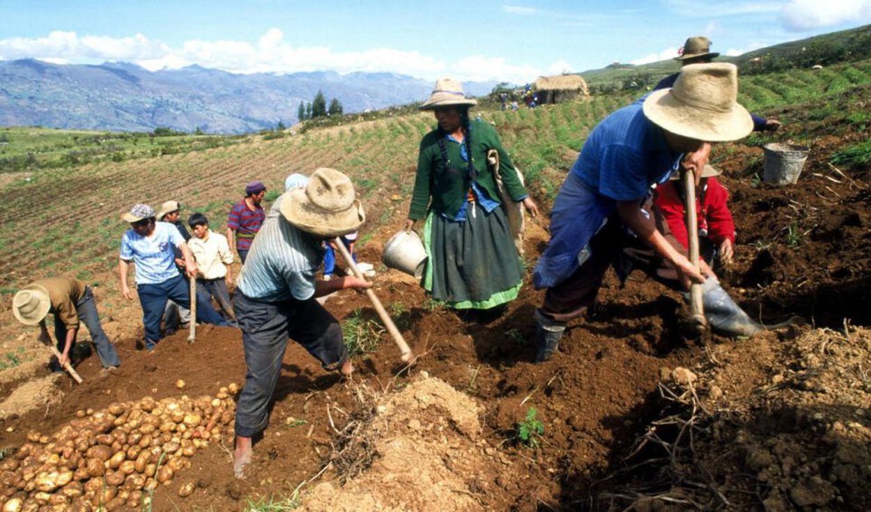 Fertiabono: Midagri solicita a Contralora rectificar observaciones sobre padrn de productores