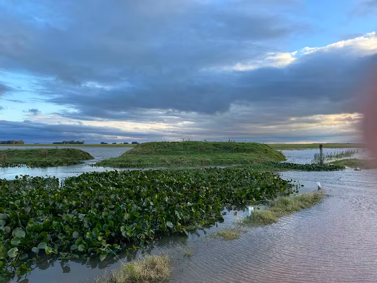 Las inundaciones en Uruguay ponen en riesgo las cosechas de arroz y soja