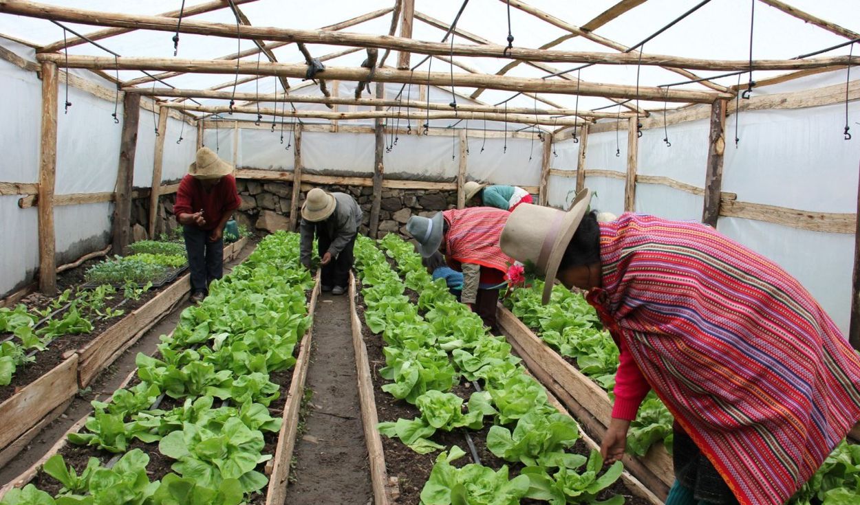 Cooperativas serán incluidas como beneficiarios finales del Fondo Crecer
