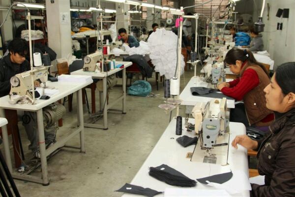 PAE Mype: ¿De qué trata el programa de apoyo para las pequeñas empresas?