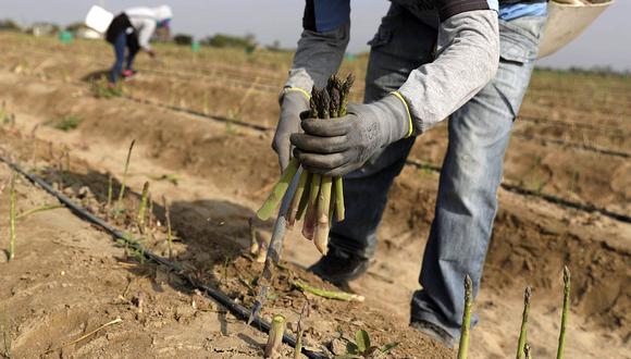 Fertilizantes: productores agrarios podrán empadronarse en municipalidades y juntas de usuarios