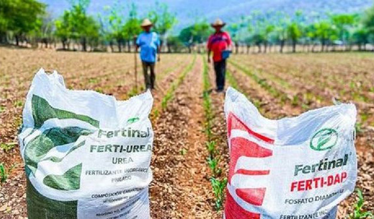 Distribución de la urea comenzará en segunda quincena de agosto